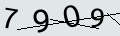 verifycode